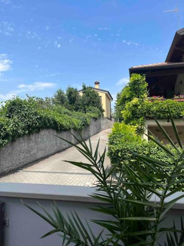 a plant in front of a wall next to a building at Casa vacanze a Prosecco - Trieste in Trieste