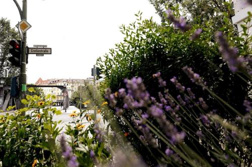 LANG Li by ROCKCHAIR Apartments l SUPERHOST Status l 2 Bedrooms Boxspringbeds in City Center - Cozy Family & Business Flair welcomes you! photo 15
