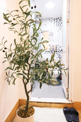 a potted plant sitting on the floor in front of a door at Okaeri Homestay in Hanoi