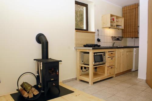 a kitchen with a wood stove in a room at Glamping Hnačov in Hnačov