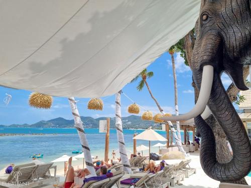 an elephant standing on a beach with a crowd of people at Elephant Beach Club & Resort Samui in Chaweng