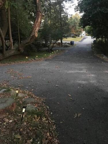 an empty road with trees on the side of it at 3 Acre Lake Paradise Swimming Pool & Jacuzzi HotTub! in Hopatcong