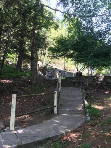 a set of stairs in a park with trees at 3 Acre Lake Paradise Swimming Pool & Jacuzzi HotTub! in Hopatcong