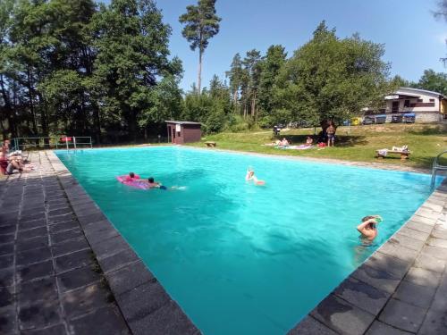 um grupo de pessoas a nadar numa piscina em Glamping Hnačov 