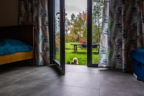 um quarto com uma porta de vidro deslizante com um cão a olhar para o exterior em Domki w górach em Międzylesie