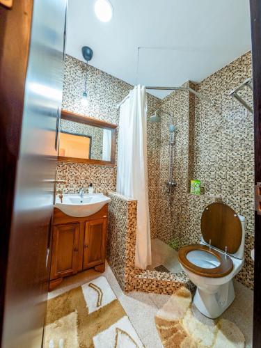 a bathroom with a toilet and a sink and a shower at Cosy Central Hideaway Home in Constanţa
