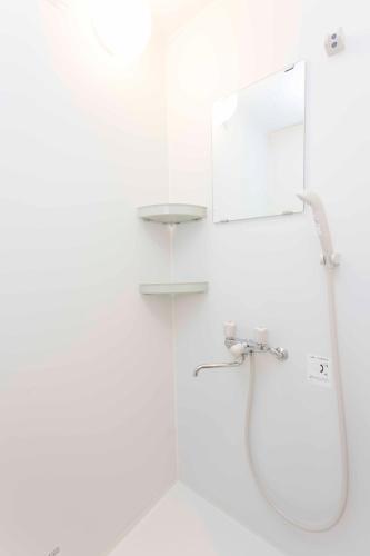 a shower in a white bathroom with a mirror at PAL-TERRACE Fujimi in Tokyo