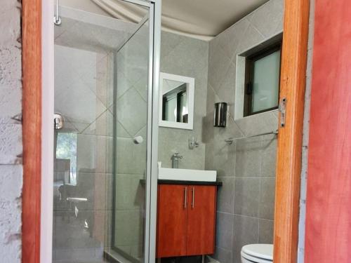 a bathroom with a shower and a sink and a toilet at Lethabong Lodge in Thabazimbi