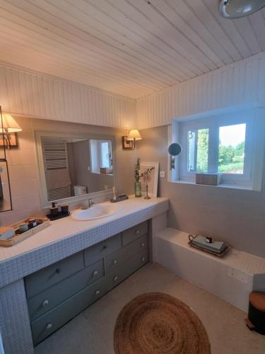 ein Bad mit einem Waschbecken und einem Spiegel in der Unterkunft Le beauplan in Chalain-le-Comtal