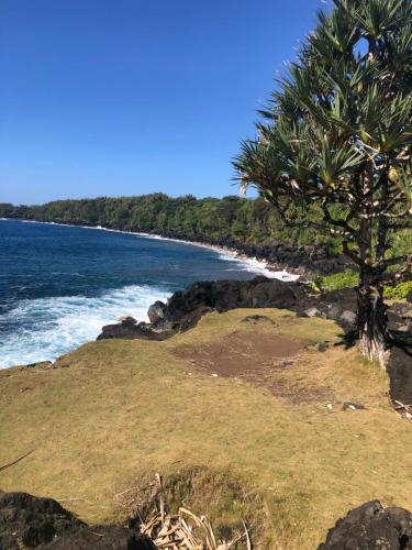 a view of the ocean and a palm tree at Location Villa pleine Nature Domaine des Radiers in Sainte-Rose