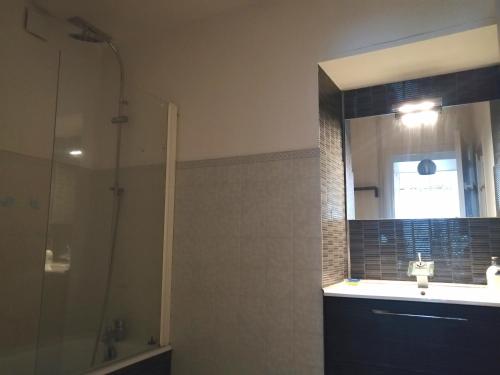 een badkamer met een douche, een wastafel en een spiegel bij L'Eau Vive in Dinan