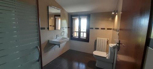 a bathroom with a toilet and a sink at Agroturismo Argoin Txiki in Zarautz