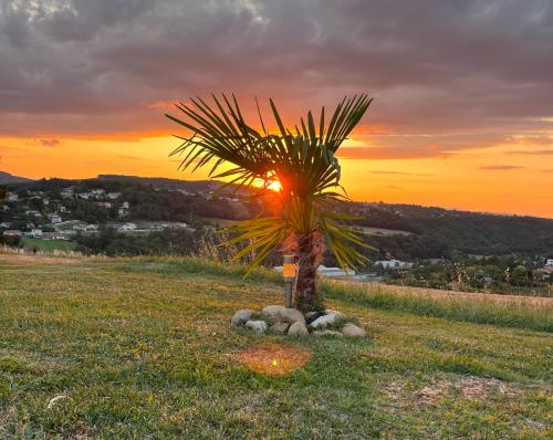 a palm tree in a field with the sunset in the background at Les Petites Bulles de Massier in Vienne