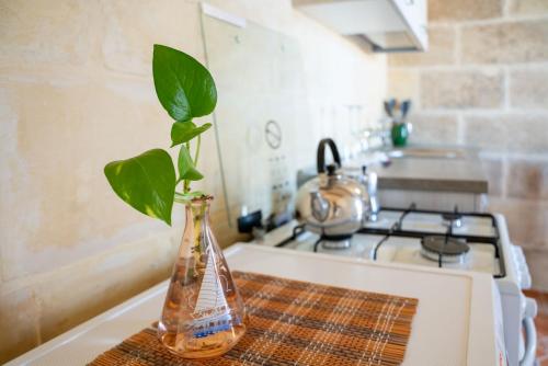 Una cocina o zona de cocina en Laremi Gozo B&B
