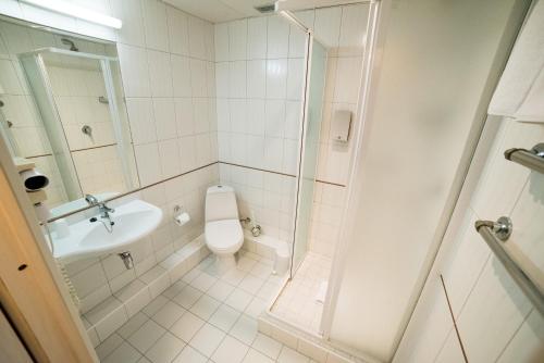 a bathroom with a shower and a toilet and a sink at Hotel Tigra in Priekuļi