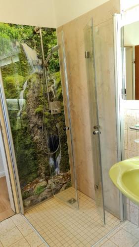 a shower in a bathroom with a painting on the wall at Ferienwohnungen Nohner Mühle in Nohn