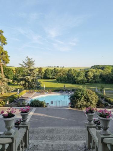 - une vue sur la piscine ornée de fleurs en pots dans l'établissement Chateau De Fere, à Fère-en-Tardenois