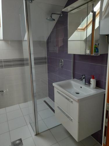 ein Bad mit einem Waschbecken und einer Dusche in der Unterkunft Villa Usivak for green quiet holiday near Sarajevo in Sarajevo