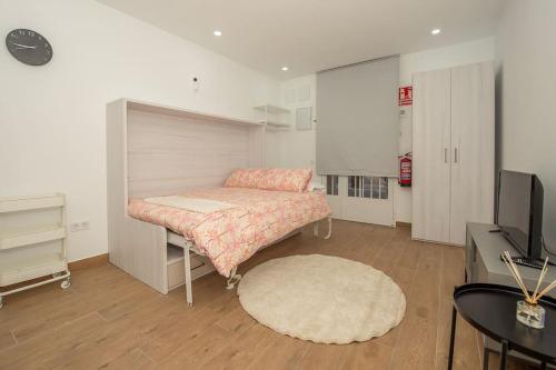 Habitación con cama, TV y alfombra. en Estudio en Palacio La Latina, en Madrid