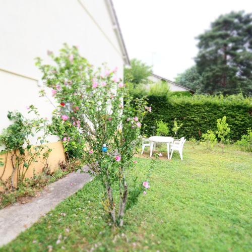 a garden with a table and a tree with pink flowers at NOUVEAUTE Maison Cocooning avec jardin, Terrasse couverte et Jacuzzi in Bellerive-sur-Allier