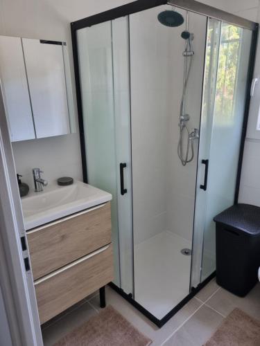 a bathroom with a shower and a sink at maison cosy avec petit jardin in Avignon