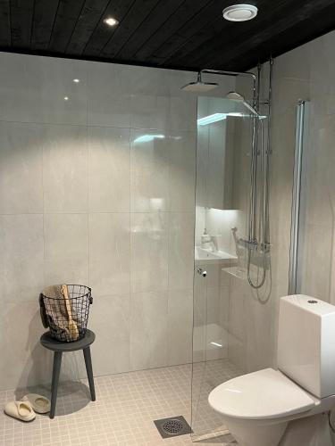 a bathroom with a shower with a toilet and a sink at Tikka Apartments in Jyväskylä