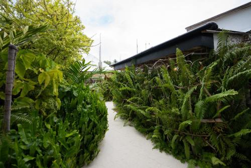 Jardín al aire libre en The Corbin Guest House