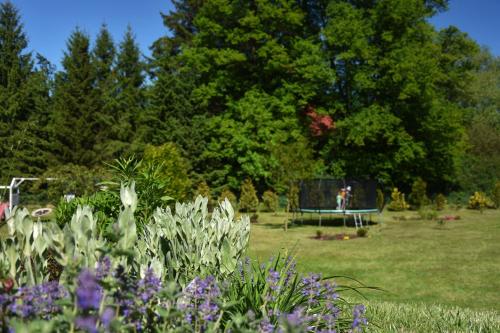 a garden with purple flowers and a ping pong ball at Agroturystyka u Świątków in Stara Kamienica