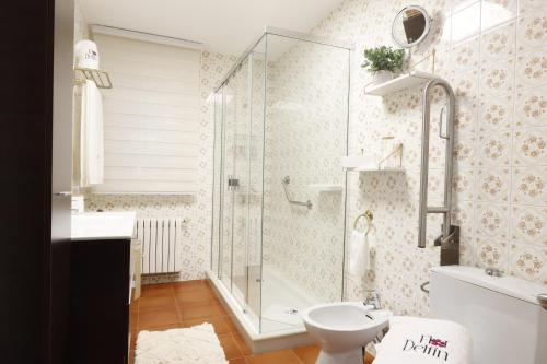 a bathroom with a shower and a toilet at Casa Flor Delfin Ribadeo in Ribadeo