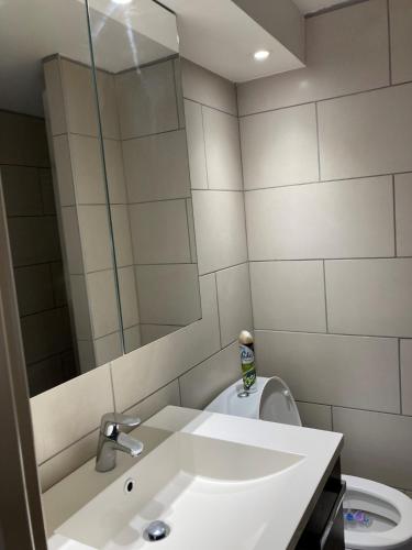 La salle de bains est pourvue d'un lavabo et de toilettes avec un miroir. dans l'établissement APPARTEMENT studio CAPBRETON SANTOCHA, à Capbreton