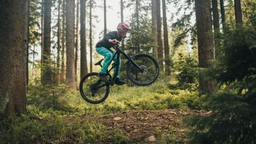 a person doing a trick on a bike in the woods at Willa Marianna in Lądek-Zdrój