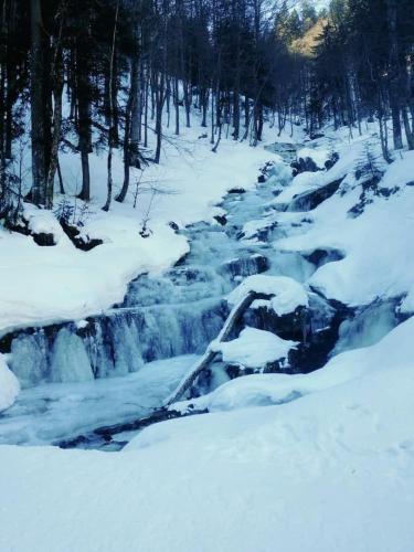 a creek covered in snow with trees in the background at Ferienwohnung Marterer in Hintersee