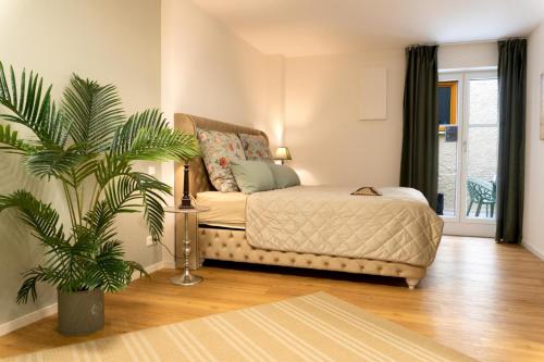 um quarto com uma cama e um vaso de plantas em Poschinger Carré em Traunstein