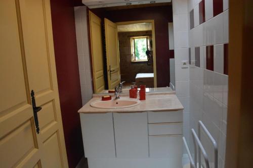 a bathroom with a sink and a mirror at le Moulin de Garreau in Saint-Martin-des-Fontaines
