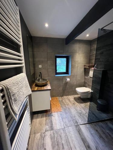 ein Bad mit einem WC, einem Waschbecken und einer Dusche in der Unterkunft Forester in Malmedy