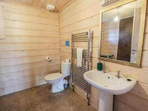 a bathroom with a white sink and a toilet at Lapwing Lodge in Dumfries