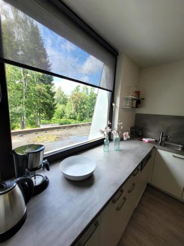 a kitchen with a counter with a large window at Winterberg Appartement 21097 in Winterberg