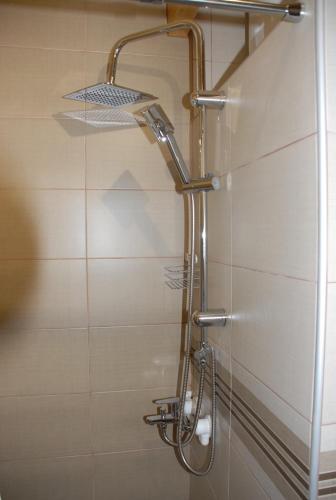 a shower with a shower head in a bathroom at Planinska kuća Jovanić in Nova Varoš