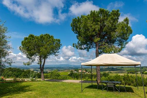 a table and chairs under aige umbrella in a field at Relais Riserva di Fizzano in Castellina in Chianti