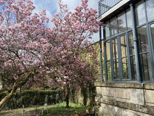 un arbre avec des fleurs roses à côté d'un bâtiment dans l'établissement La Villa Beaupeyrat - Apparthôtels de charme dans bâtisse de caractère, à Limoges