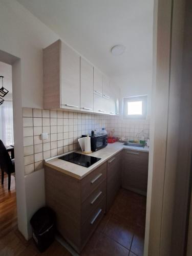 Kuchyň nebo kuchyňský kout v ubytování Apartman Helena
