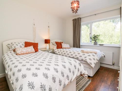 2 łóżka w sypialni z oknem w obiekcie Hazelwood Lodge w mieście High Bickington