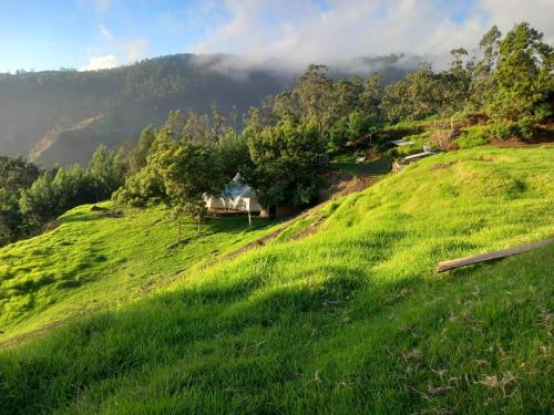 Arambha Ecovillage Permaculture Farm في Tábua: تل عشبي أخضر عليه منزل