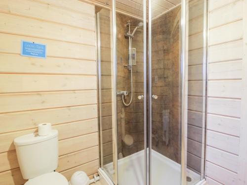 uma casa de banho com um chuveiro e um WC. em Curlew Lodge em Dumfries