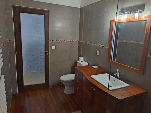 a bathroom with a toilet and a sink and a mirror at Gite Mireille in Carros