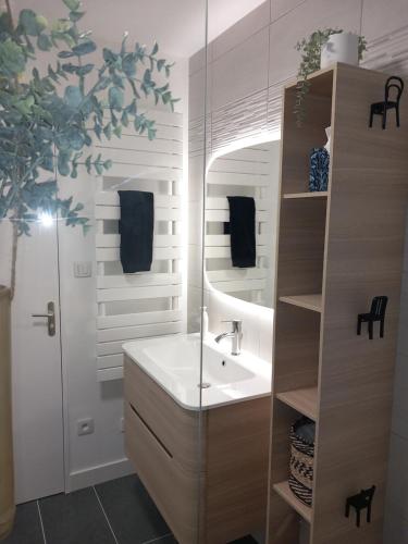 une salle de bain avec un lavabo et un miroir dans l'établissement Sur les toits d'Orléans, à Orléans