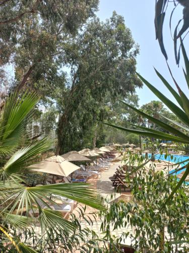 Billede fra billedgalleriet på Tunisia Lodge i Hammamet