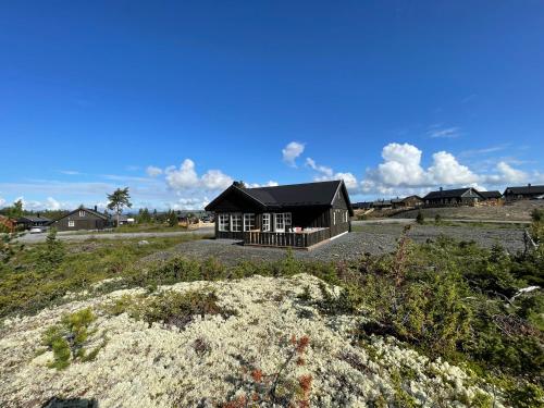 a house with a black roof in a field at Tisleibu - cabin at Golfjellet in Tisleidalen