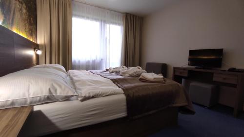 a hotel room with a bed and a window at Hotel SOREA ĽUBOVŇA in Stará Ľubovňa