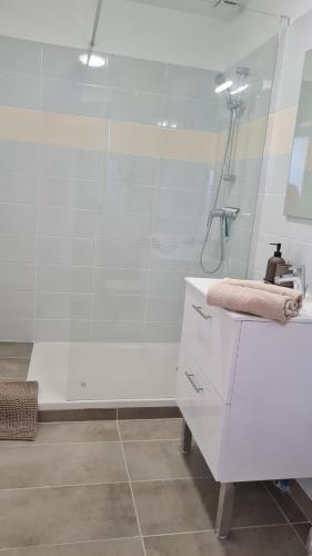 La salle de bains blanche est pourvue d'une douche et d'un lavabo. dans l'établissement En haut de la tour, Libourne Hypercentre, Netflix, Clim, à Libourne